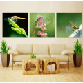3 Panel Wall Art Oil Painting Dragonfly Painting Home Decoration Canvas Prints Pictures for Living Room Mc-260